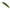 Vobler DUO Realis Rozante 63SP, CCC3864 Perch ND, 6.3cm, 5g