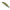 Vobler DUO Realis Rozante 63SP, DRA3050 Half Mirror Ayu, 6.3cm, 5g