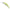 Vobler DUO Realis Shad 57MR SP, CCC3028 Ghost Chart, 5.7cm, 4.8g