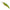 Vobler Duo Realis Shad 59mr Sp, Ada3185 Itako Green Gold, 5.9cm, 4.7g