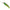 Vobler DUO Realis Shad 62DR SP, AJA3055 Chart Gill Halo, 6.2cm, 6g