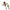 Vobler Duo Realis Shinmushi, Ccc3264 Mesmer Eyes, 4.0cm, 5.7g