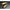 Vobler Duo Realis Vibration 68 G-fix, Ccc3014 Omnicraw , 6.8cm, 21g