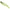 Vobler Duo Rough Trail Makiflat 155f, Cya0687 Bora, 15.5cm, 50g
