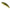 Vobler Duo Spearhead Ryuki 50f, Mcc4084 Gold Yamame, 5cm, 2.8g