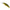 Vobler Duo Spearhead Ryuki 50mdf, Mcc4084 Gold Yamame, 5cm, 3.2g