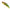 Vobler Duo Spearhead Ryuki 50s, Ada4090 Uv Rgg Yamame Ob, 5cm, 4.5g