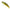Vobler Duo Spearhead Ryuki 50s, Ani4004 Natural Yamame, 5cm, 4.5g
