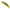Vobler DUO Spearhead Ryuki 50S, ANI4004 Natural Yamame, 5cm, 4.5g