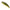 Vobler DUO Spearhead Ryuki 50S, MCC4084 Gold Yamame, 5cm, 4.5g