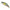 Vobler Duo Spearhead Ryuki 50sp, Aha4006 Ayu Ob, 5cm, 3.3g