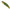 Vobler Duo Spearhead Ryuki 60s, Adaz154 Trebizat Yamame, 6cm, 6.5g