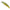 Vobler Duo Spearhead Ryuki 60s, Ani4004 Natural Yamame, 6cm, 6.5g