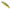 Vobler DUO Spearhead Ryuki 60S, ANI4004 Natural Yamame, 6cm, 6.5g