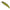 Vobler DUO Spearhead Ryuki 60S, CCC3055 Chart Gill, 6cm, 6.5g
