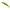 Vobler Duo Spearhead Ryuki 70s, Ani4004 Natural Yamame, 7cm, 9g