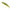 Vobler DUO Spearhead Ryuki 70S, ANI4004 Natural Yamame, 7cm, 9g