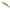 Vobler Duo Spearhead Ryuki 70s, Mni4047 Tennessee Shad, 7cm, 9g