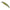 Vobler Duo Spearhead Ryuki 80s, Aha4006 Ayu Ob, 8cm, 12g