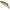 Vobler Duo Spearhead Ryuki Vib 45, Ana4010 Ayu, 4.5cm, 5.3g