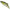 Vobler DUO Spearhead Ryuki Vib 45, ANA4010 Ayu, 4.5cm, 5.3g