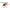 Vobler Duo Tetra Works Kurakura Sf, Asa0328 Red Gold, 3cm, 2.5g