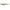 Vobler Daiwa Prorex Joint Setsuki Ayu 10cm 12g