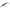 Vobler Daiwa Steez Shad Minnowbait, Special Shiner, 6cm, 6.3g
