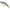 Vobler Duo Realis Vibration 68 G-fix, American Shad, 6.8cm, 21g