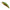 Vobler Duo Spearhead Ryuki 38s, Ada4059 Green Gold Ob, 3.8cm, 2.8g