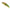 Vobler Duo Spearhead Ryuki 38S, ADA4090 UV RGG Yamame OB, 3.8cm, 2.8g