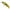 Vobler Duo Spearhead Ryuki 38s, Ani4004 Natural Yamame, 3.8cm, 2.8g