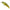 Vobler Duo Spearhead Ryuki 38S, ANI4004 Natural Yamame, 3.8cm, 2.8g