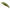 Vobler Duo Spearhead Ryuki 45s, Ada4059 Green Gold Ob, 4.5cm, 4g