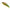 Vobler Duo Spearhead Ryuki 45s, Ada4090 Uv Rgg Yamame Ob, 4.5cm, 4g