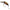 Vobler Hmkl Inch Crank Mr Bone, Kb, 25mm, 1.6g