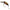Vobler HMKL Inch Crank Mr Bone, KB, 25mm, 1.6g