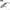 Vobler Hunter Lipless Venon, Culoare Dtgr, 5cm, 5g, 1buc/pac
