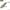 Vobler Hunter Lipless Venon, Culoare Ol, 5cm, 11g, 1buc/pac