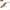 Vobler Hunter Lipless Venon, Culoare Pi, 5cm, 11g, 1buc/pac