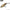Vobler Hunter Lipless Venon, Culoare Pit, 5cm, 11g, 1buc/pac