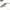 Vobler Hunter Lipless Venon, Culoare Tgr, 5cm, 11g, 1buc/pac