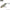 Vobler Hunter Lipless Virus, Culoare Bld, 5cm, 8g, 1buc/pac