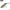 Vobler Hunter Lipless Virus, Culoare Oliv, 5cm, 8g, 1buc/pac