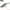 Vobler Hunter Lipless Virus, Culoare Rp, 5cm, 5g, 1buc/pac