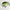Vobler Hide Up Hu-70 F, 16 Green Gill, 6cm, 8.6g