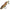 Vobler Hunter Virus Sinking, Cr, 8cm, 19g
