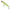 Vobler Illex Arnaud 10cm, 16g, Lime Chart Tiger, 1buc/pac