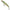 Vobler Illex Arnaud 10cm, 16g, Magic Green Perch, 1buc/pac