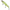 Vobler Illex Arnaud 11cm, 18g, Lime Chart Tiger, 1buc/pac